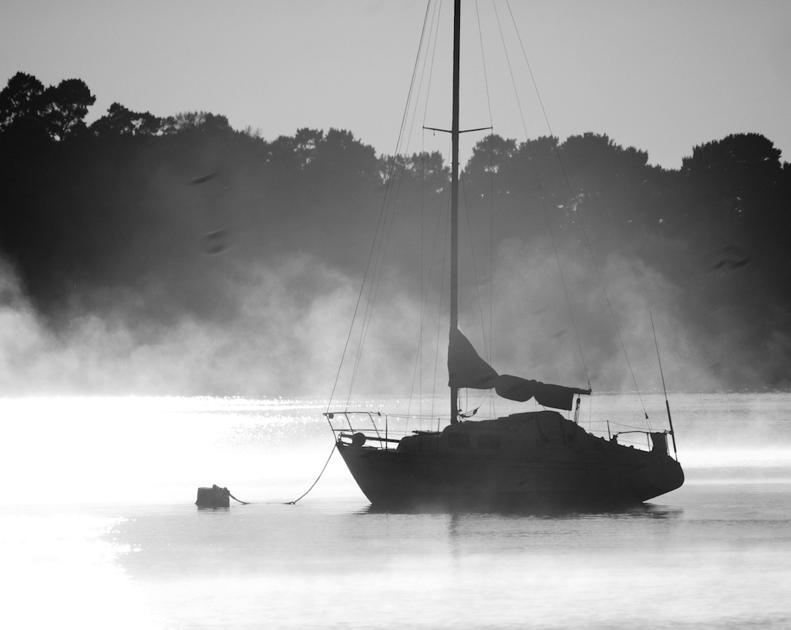 Panasonic Lumix DMC-GH4 + LEICA DG 100-400/F4.0-6.3 sample photo. Metung in the mist 5 photography