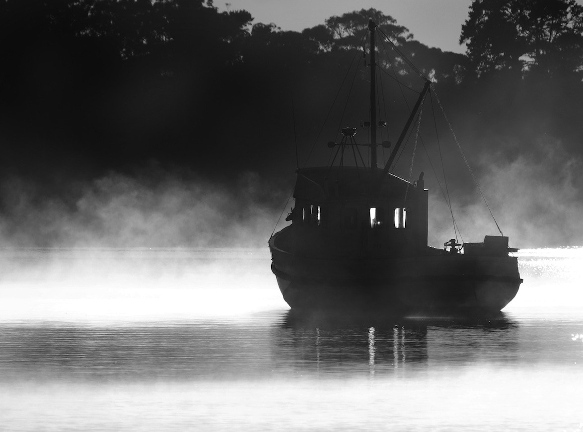 Panasonic Lumix DMC-GH4 + LEICA DG 100-400/F4.0-6.3 sample photo. Metung in the mist 3 photography