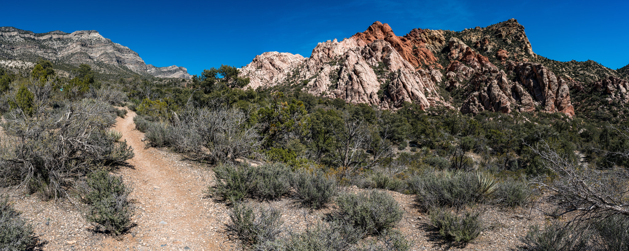 Nikon AF-S Nikkor 24mm F1.8G ED sample photo. La madre spring loop trail photography