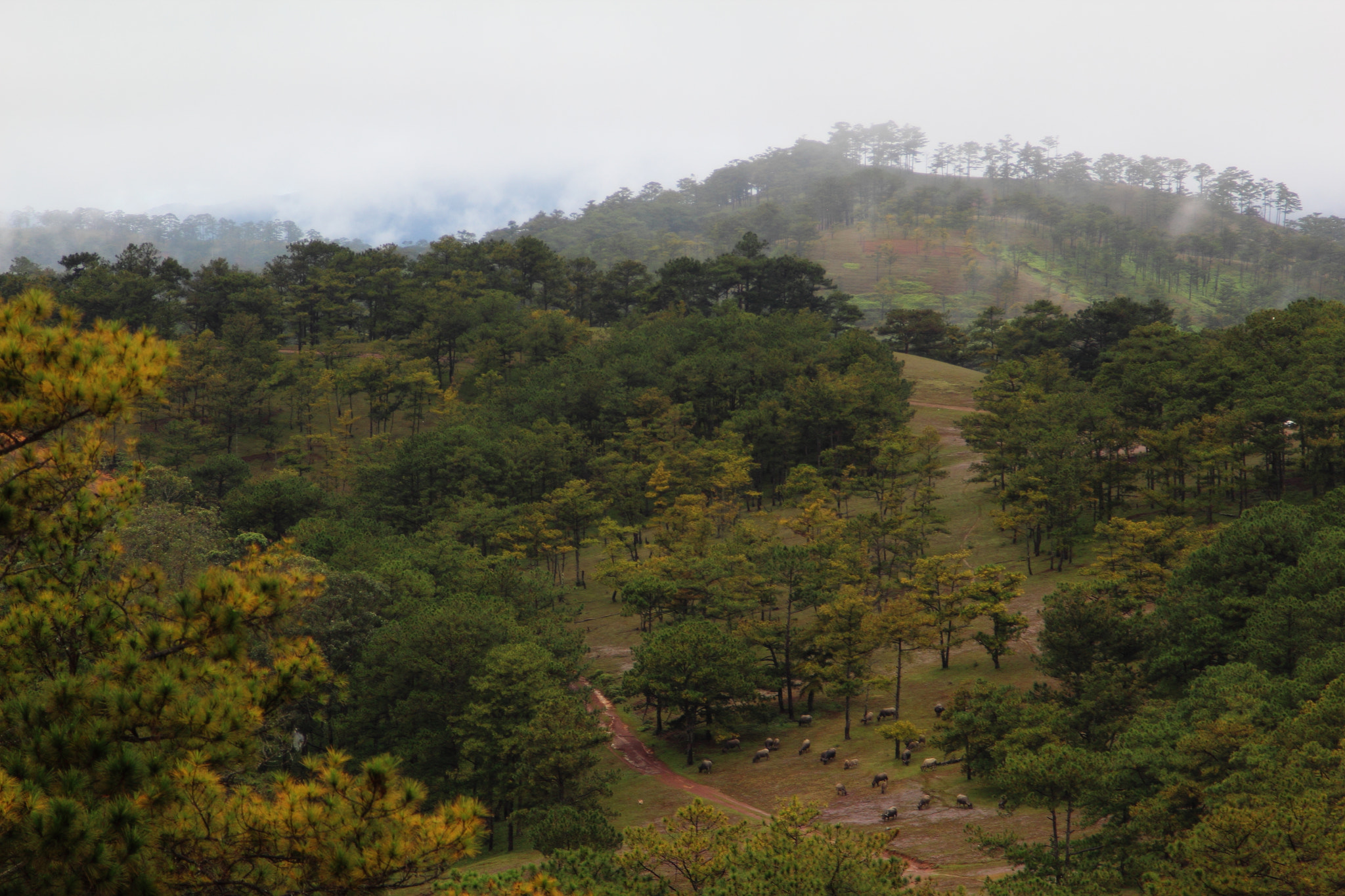 Canon EOS 600D (Rebel EOS T3i / EOS Kiss X5) sample photo. Img photography