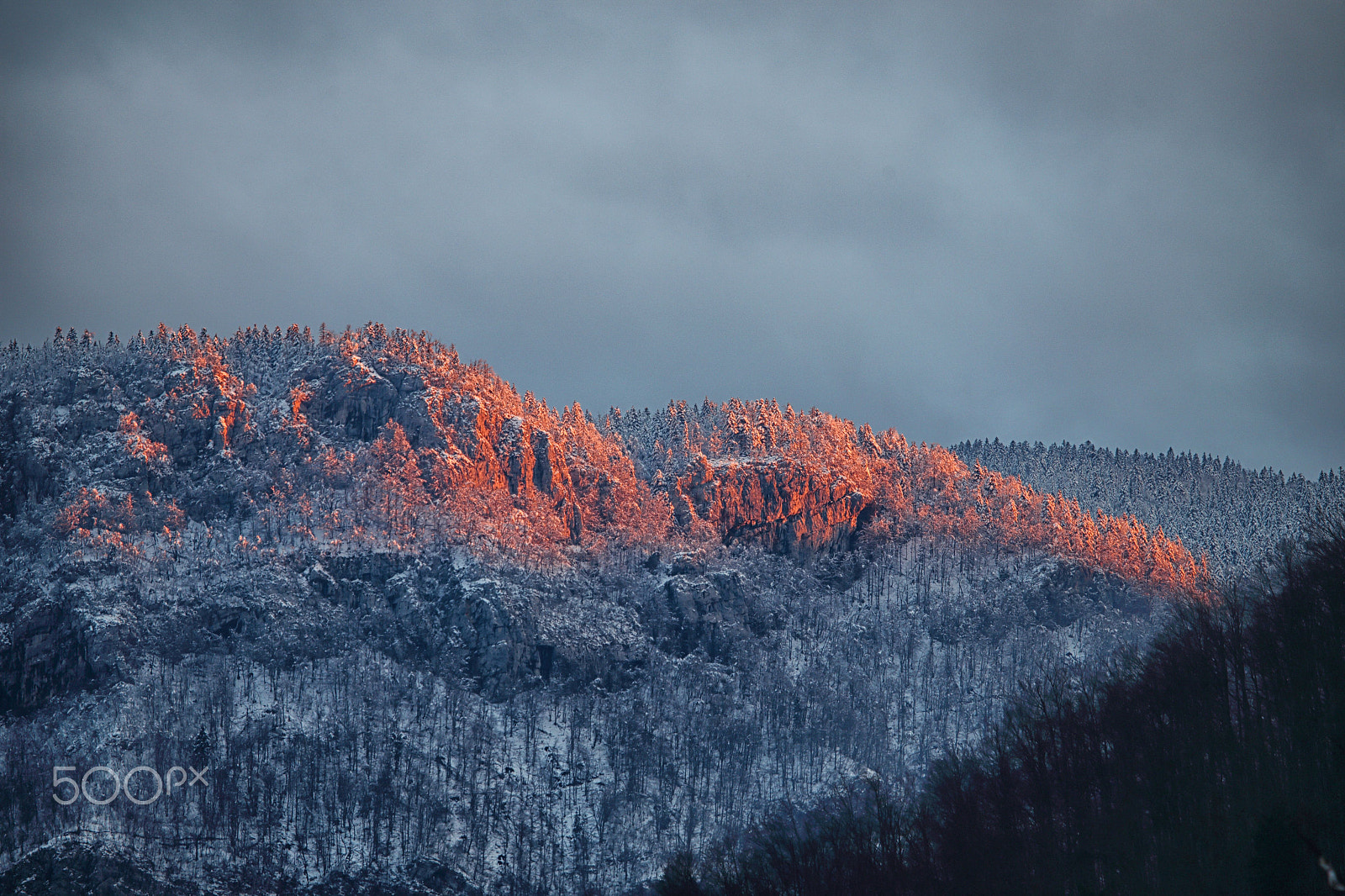 Canon EF 100-400mm F4.5-5.6L IS USM sample photo. Winter wonderland photography