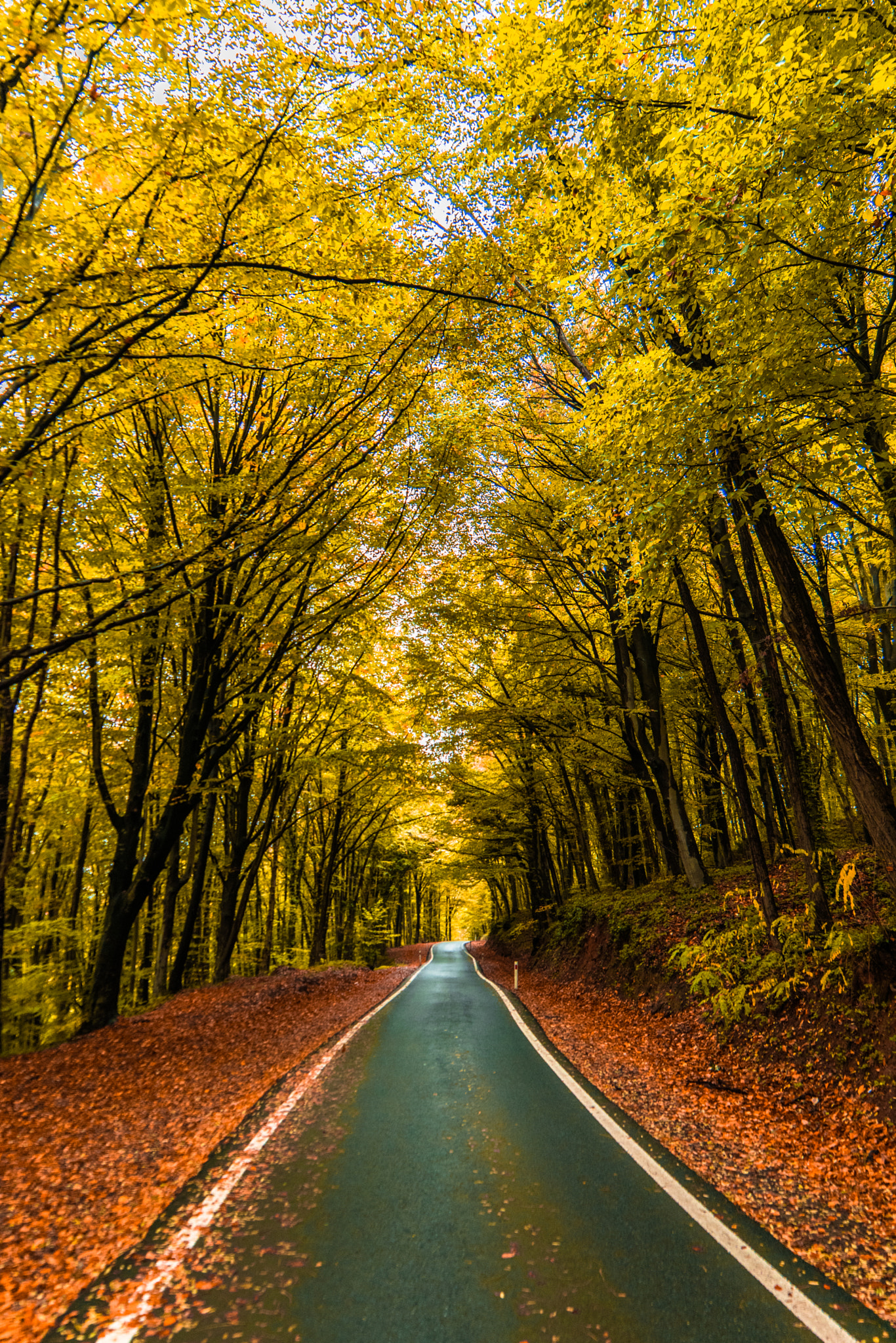 Samyang 14mm F2.8 ED AS IF UMC sample photo. Dsc_6798 photography