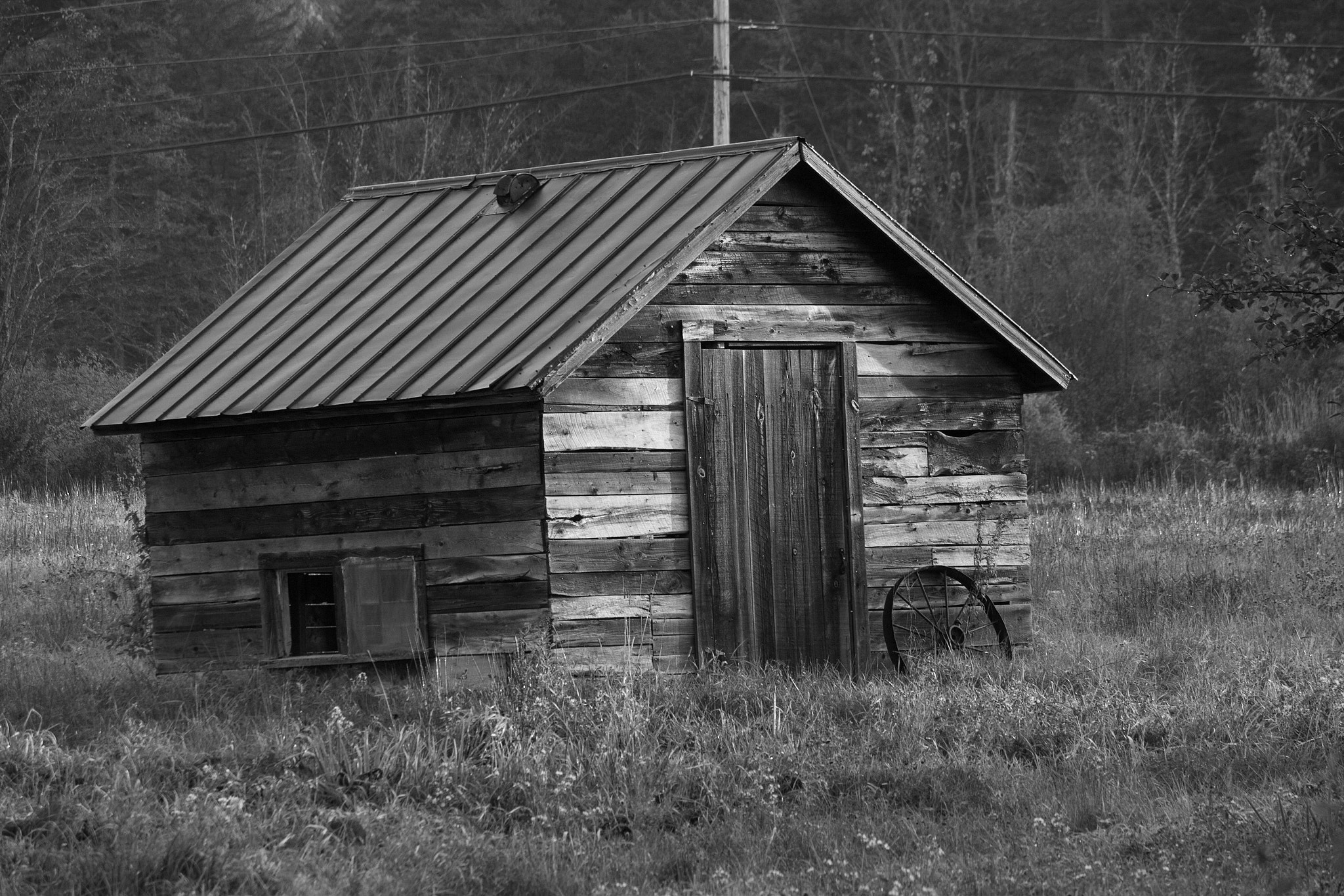Canon EF-S 55-250mm F4-5.6 IS STM sample photo. Mono photography