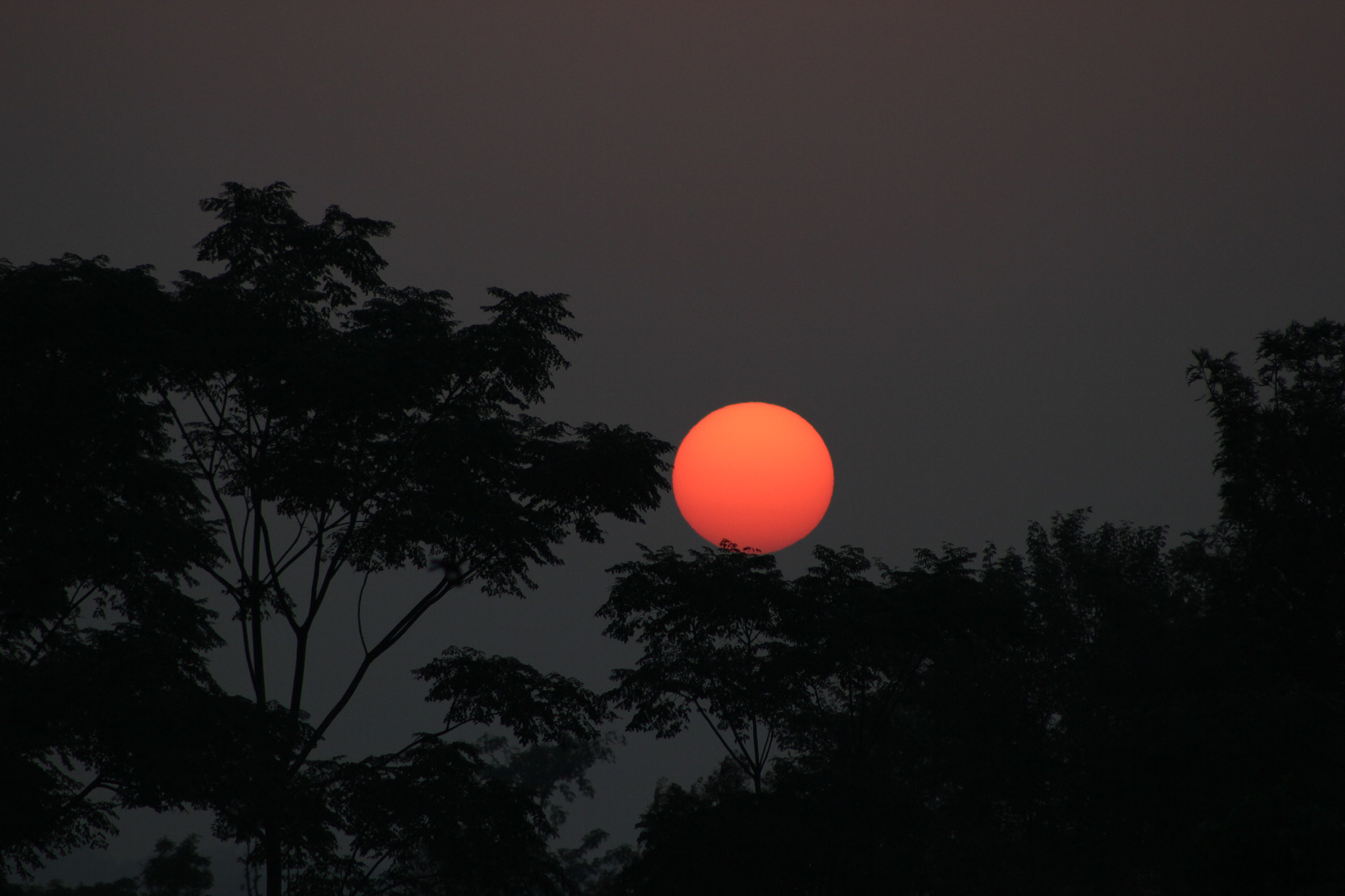 Canon EF 75-300mm f/4-5.6 USM sample photo. The young sun photography