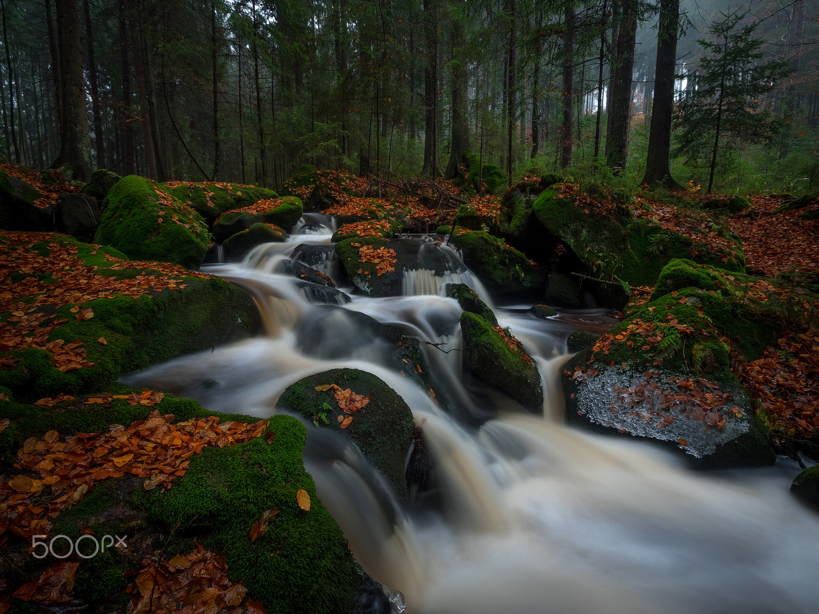 Olympus Zuiko Digital ED 9-18mm F4.0-5.6 sample photo. Elemental force photography