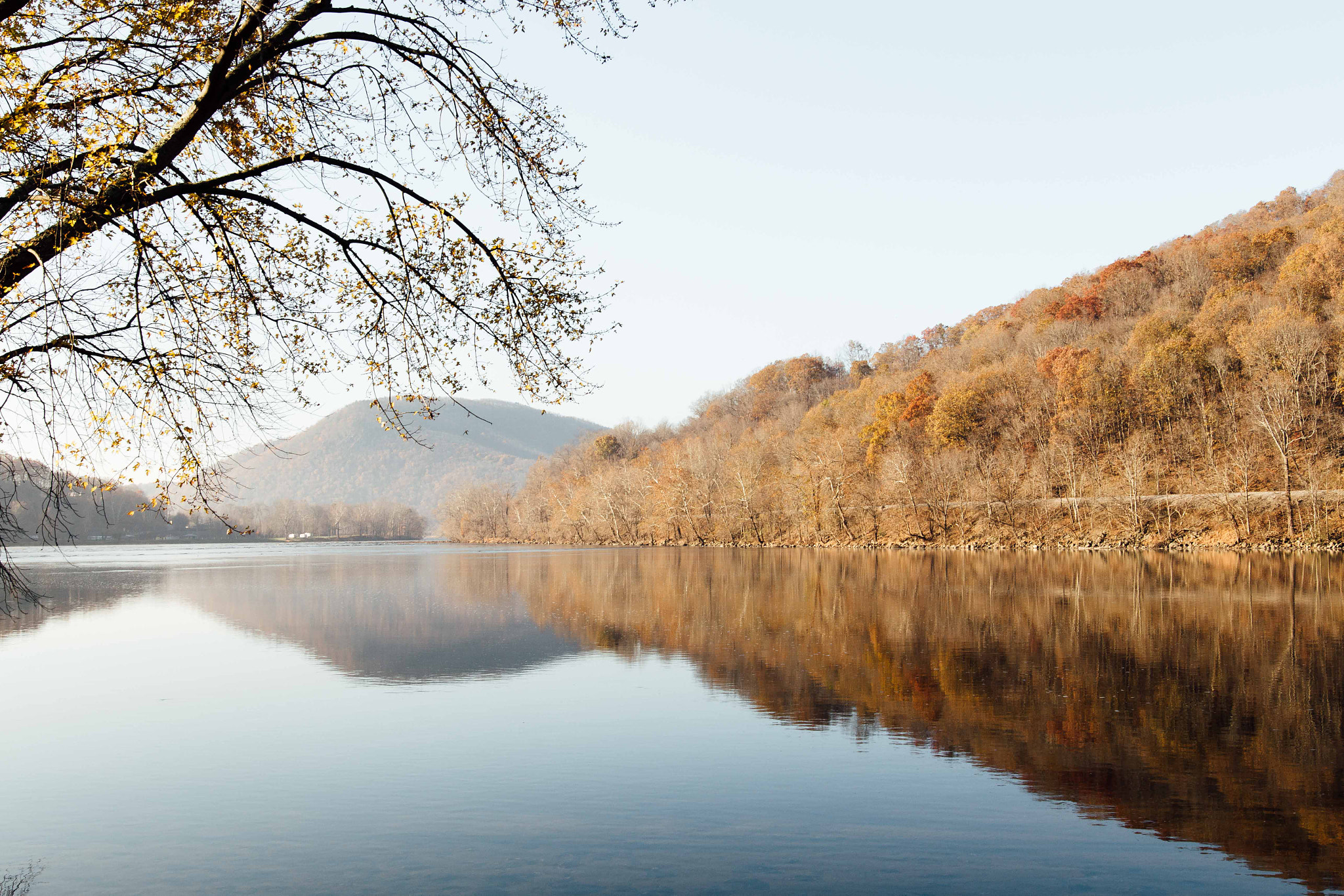 Sigma 24mm F1.4 DG HSM Art sample photo. Bright morning photography