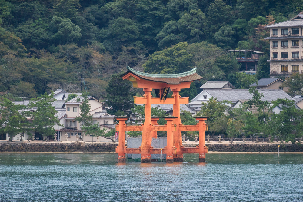 Canon EF-S 10-22mm F3.5-4.5 USM sample photo. 嚴島神社. photography