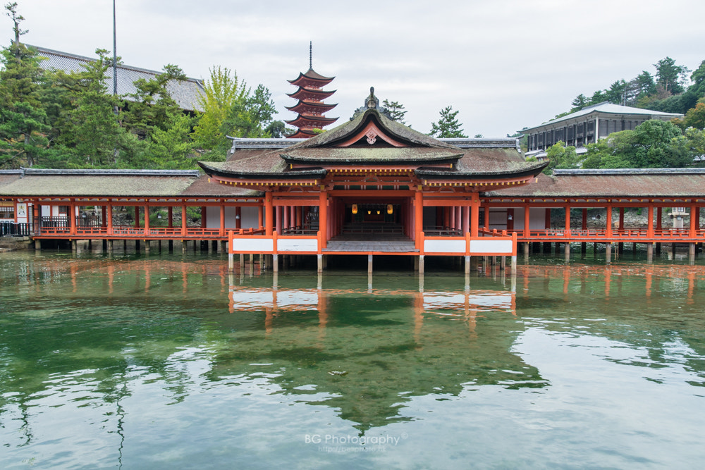 Sony a7 II + Canon EF 85mm F1.2L II USM sample photo. 嚴島神社. photography