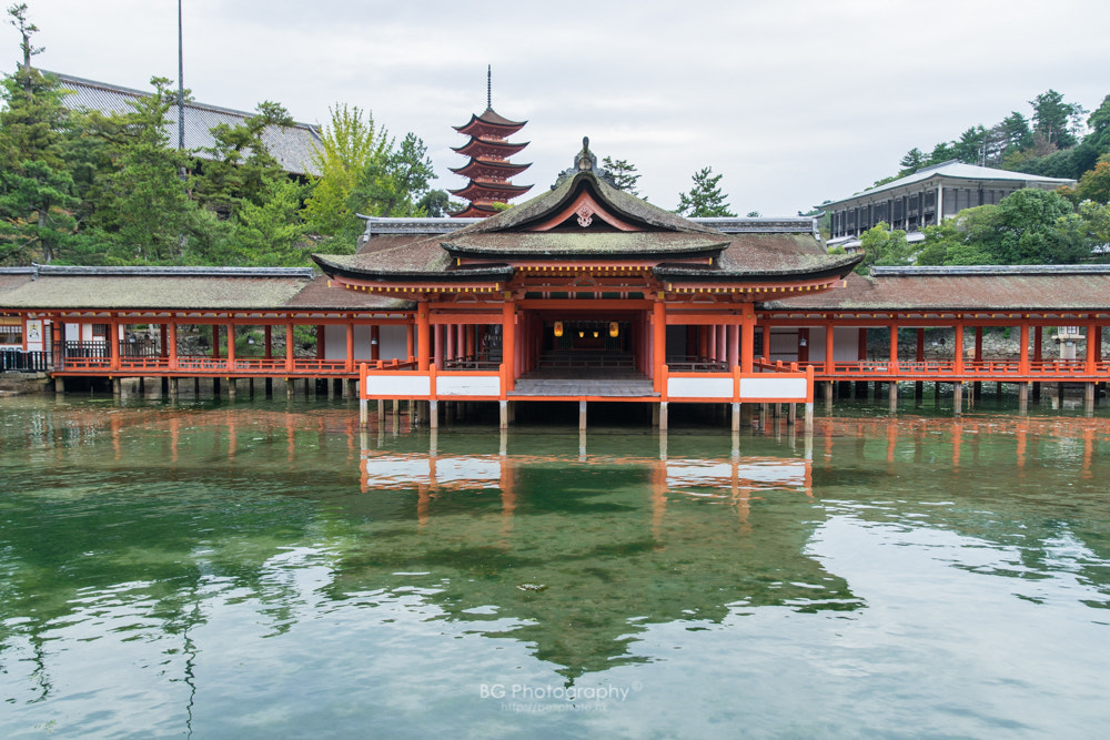 Sony a7 II + Canon EF 85mm F1.2L II USM sample photo. 嚴島神社. photography