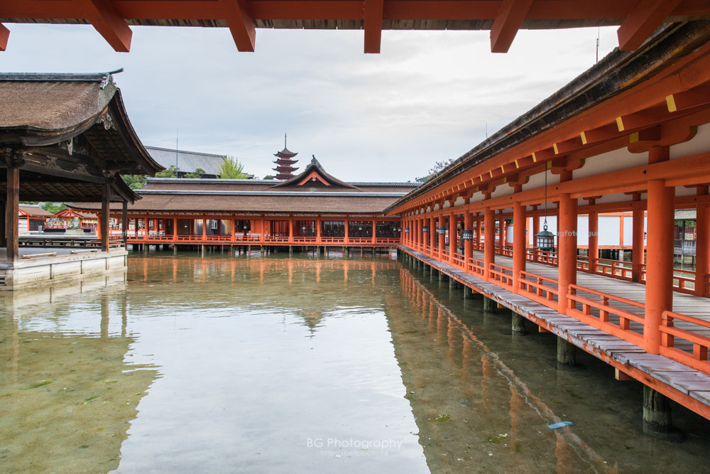 Sony a7 II + Canon EF 85mm F1.2L II USM sample photo. 嚴島神社. photography