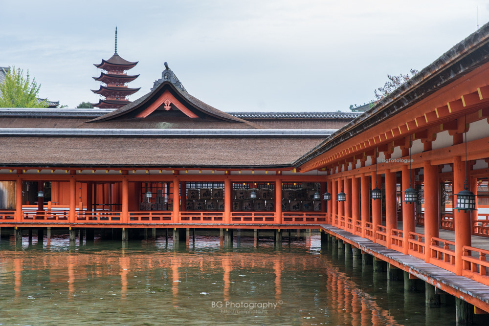 Sony a7 II + Canon EF 85mm F1.2L II USM sample photo. 嚴島神社. photography