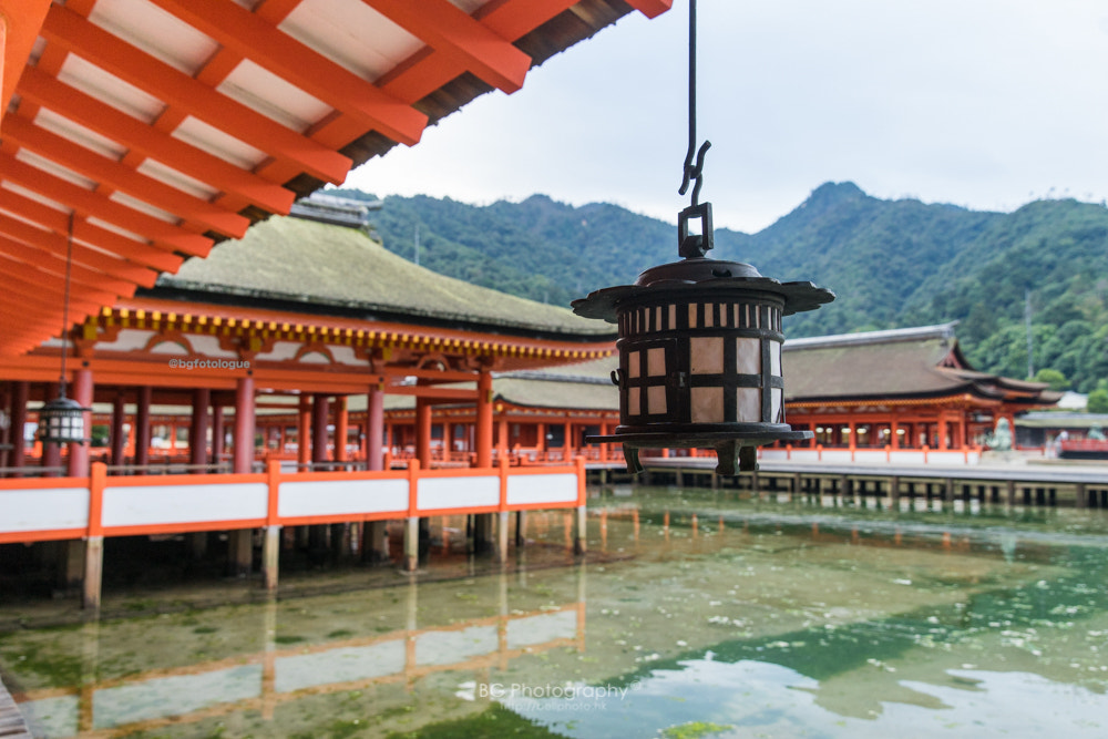 Canon EF 85mm F1.2L II USM sample photo. 嚴島神社. photography