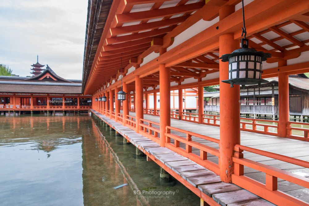 Sony a7 II + Canon EF 85mm F1.2L II USM sample photo. 嚴島神社. photography