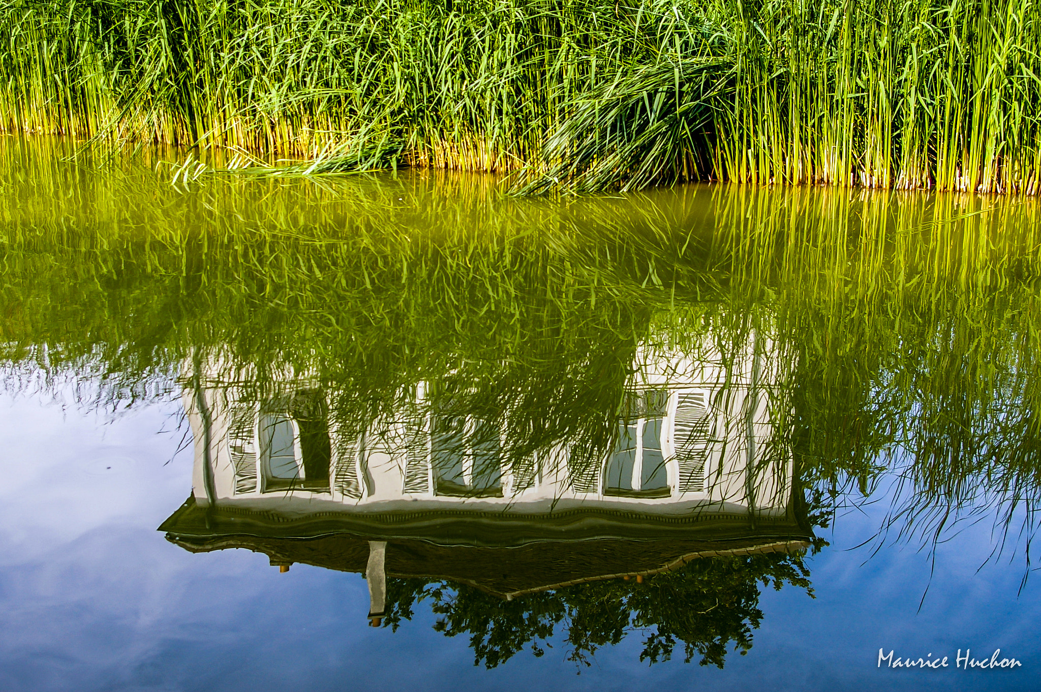 Pentax K100D Super sample photo. Reflets parc de bercy (paris) photography