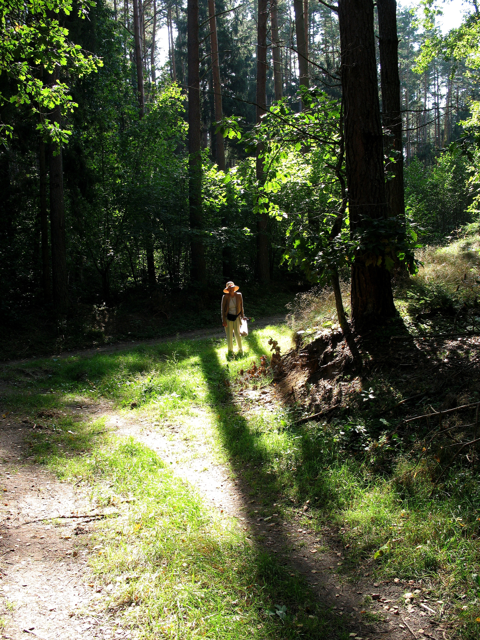 Canon POWERSHOT A640 sample photo. Forest and my sister photography