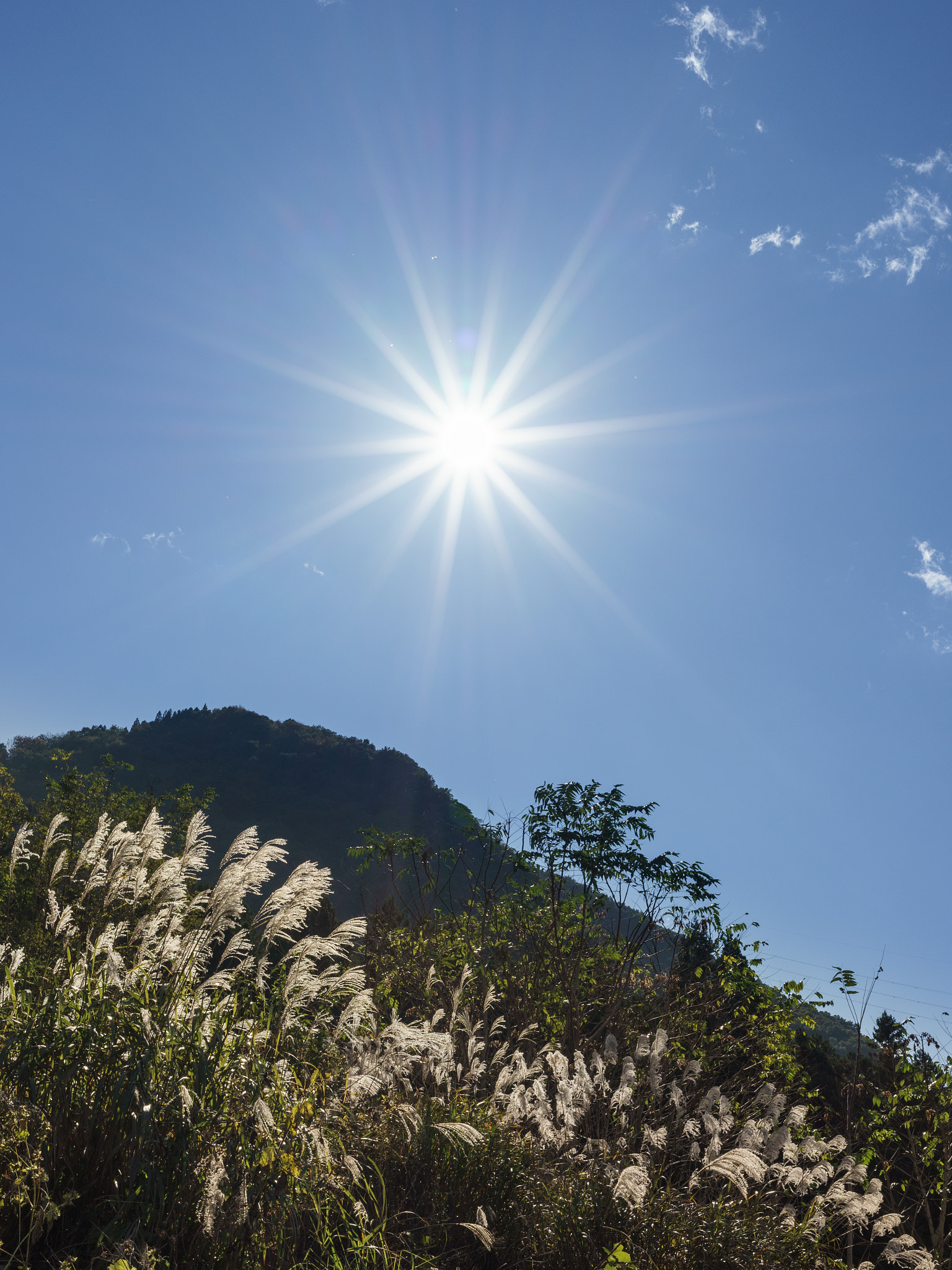 Sony a7 II + Canon EF 40mm F2.8 STM sample photo. The sun photography