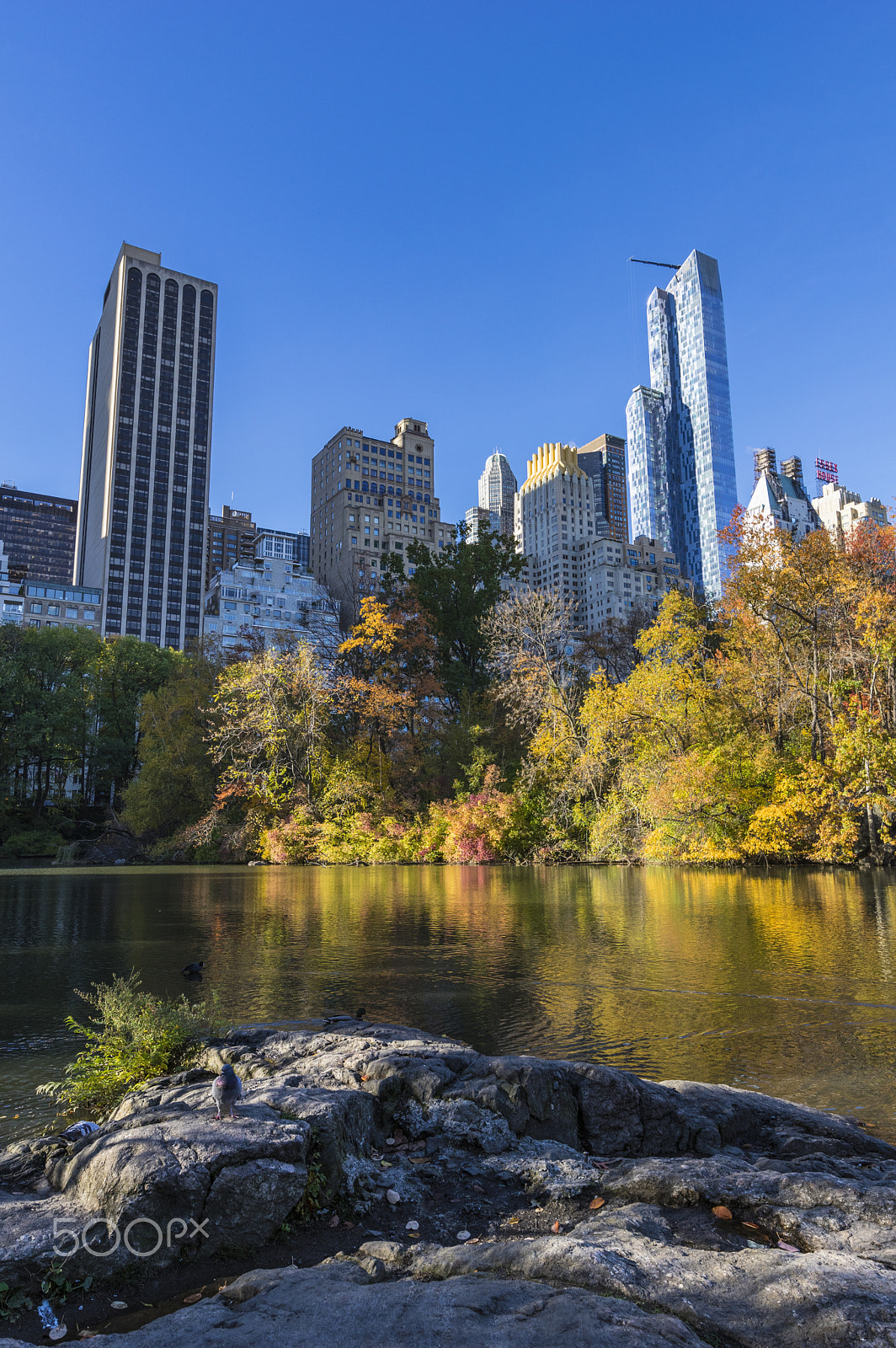 Pentax K-3 sample photo. Fall at the pond, central park, nyc photography
