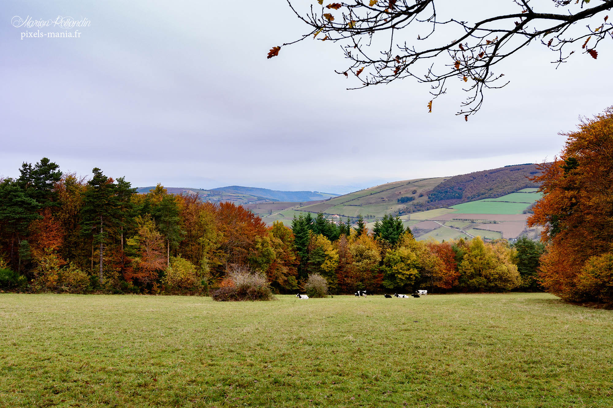 Nikon D500 sample photo. Couleurs d'automne photography