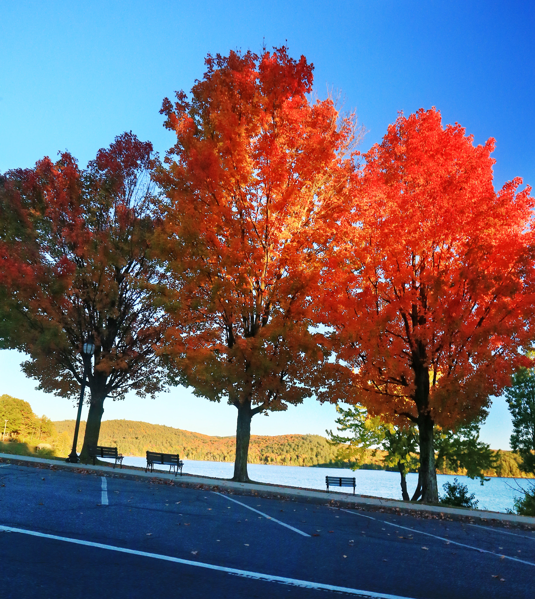 Canon EOS-1D X + Canon EF 17-40mm F4L USM sample photo. The tree amigos photography