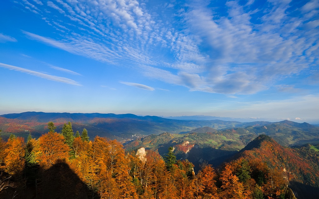 Nikon D300S sample photo. Pieniny po prostu... photography