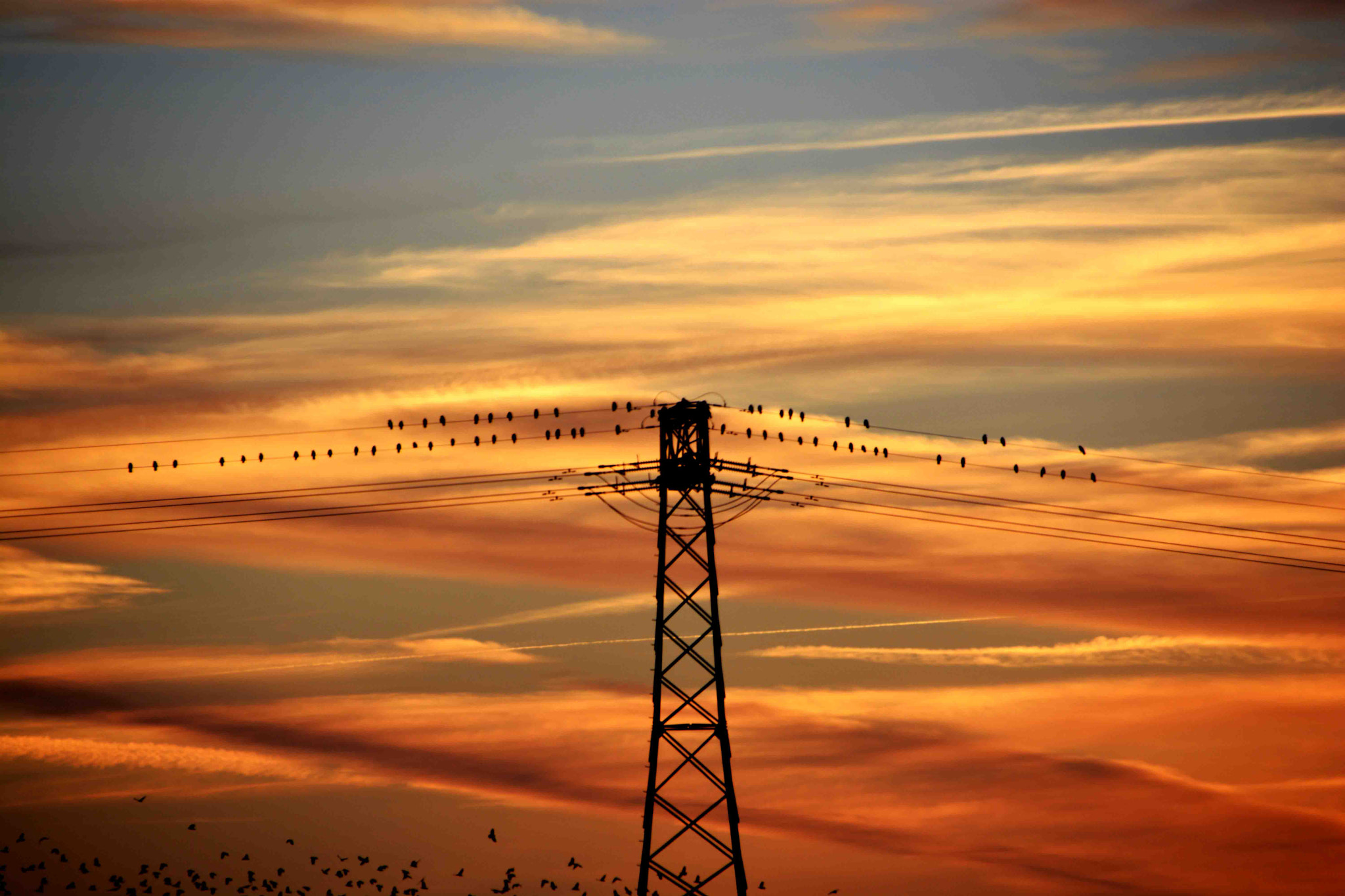 Sigma 18-250mm F3.5-6.3 DC OS HSM sample photo. Ready to fligh... photography