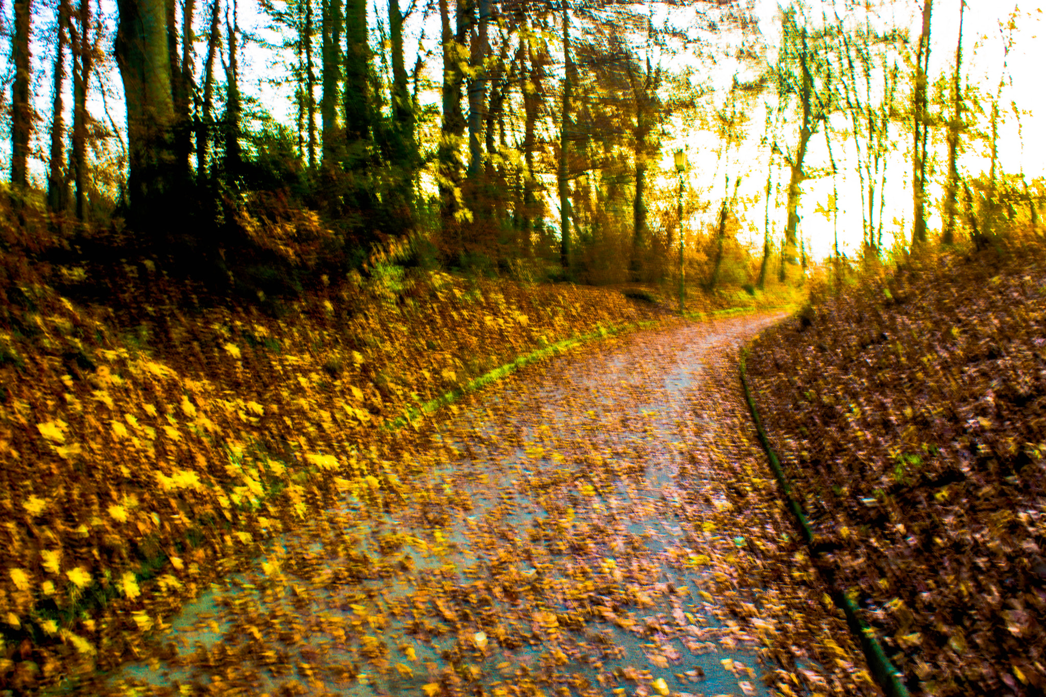 Sony DT 18-70mm F3.5-5.6 sample photo. Winterweg photography