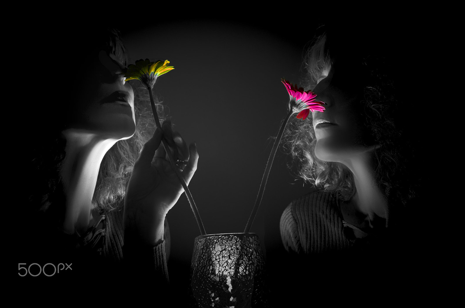 Nikon D500 sample photo. Sniffing pretty photography