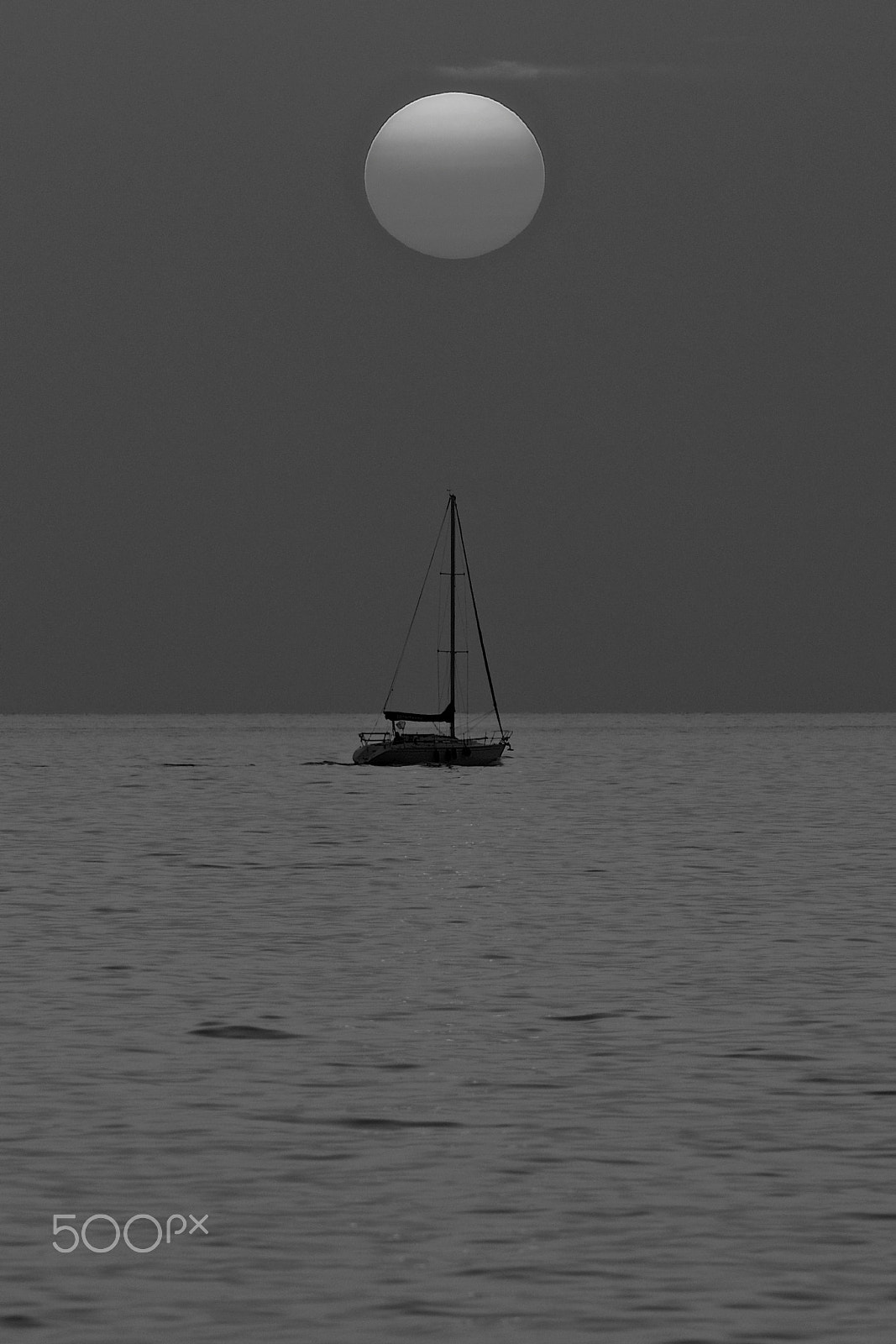 Canon EOS 6D + Canon EF 300mm F4L IS USM sample photo. Botton photography