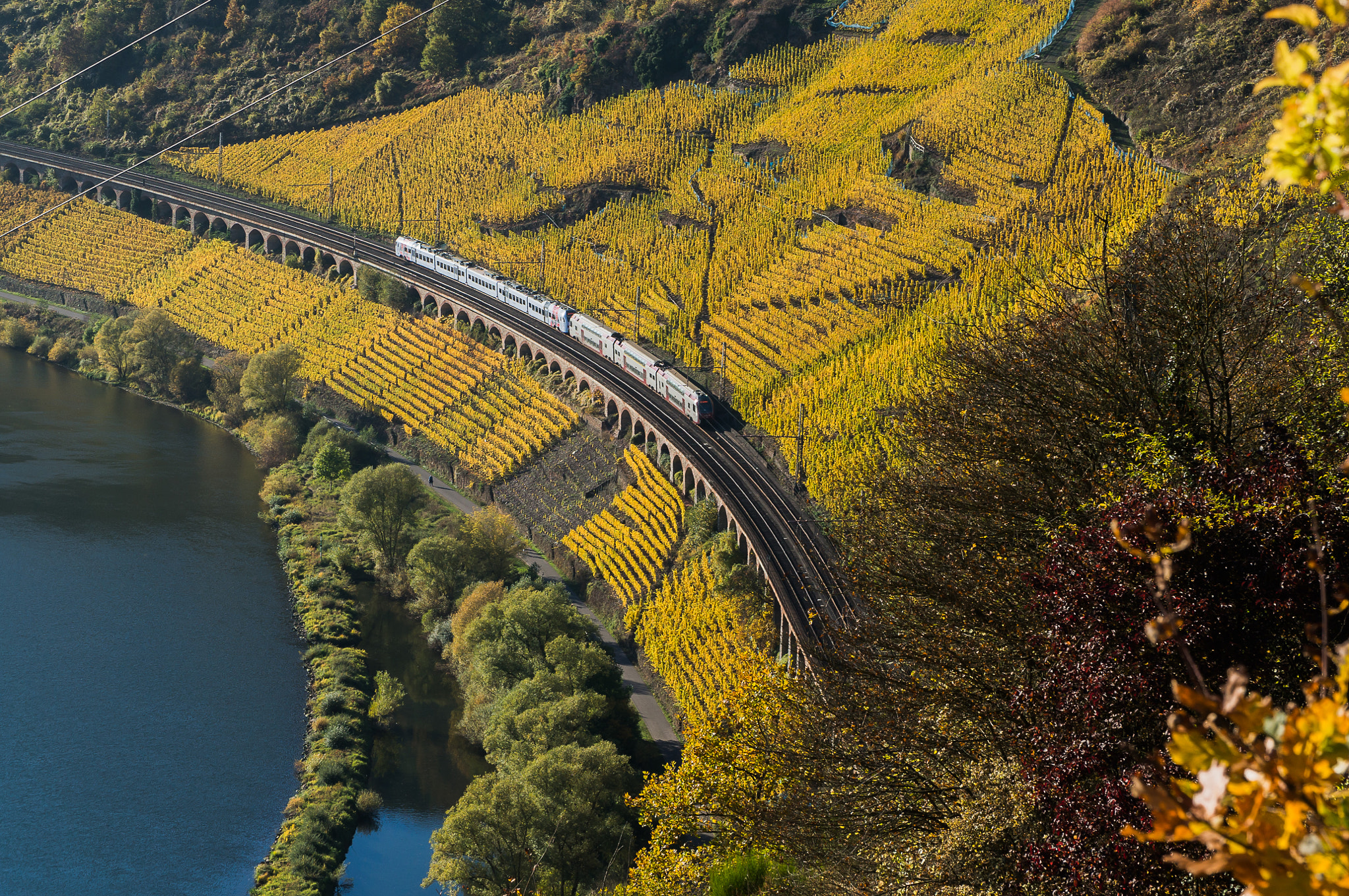 Sony Alpha NEX-6 + Sony E PZ 18-105mm F4 G OSS sample photo. Pündericher viadukt im herbst photography