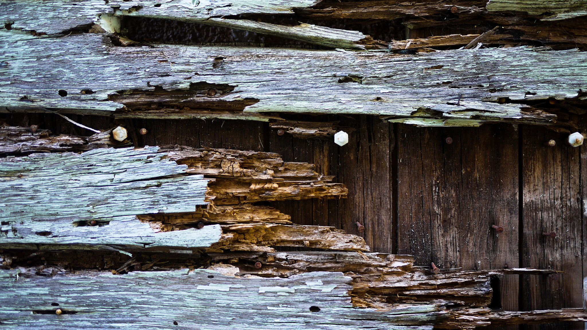 Panasonic Lumix DMC-G2 + Panasonic Lumix G 20mm F1.7 ASPH sample photo. Splintered door photography
