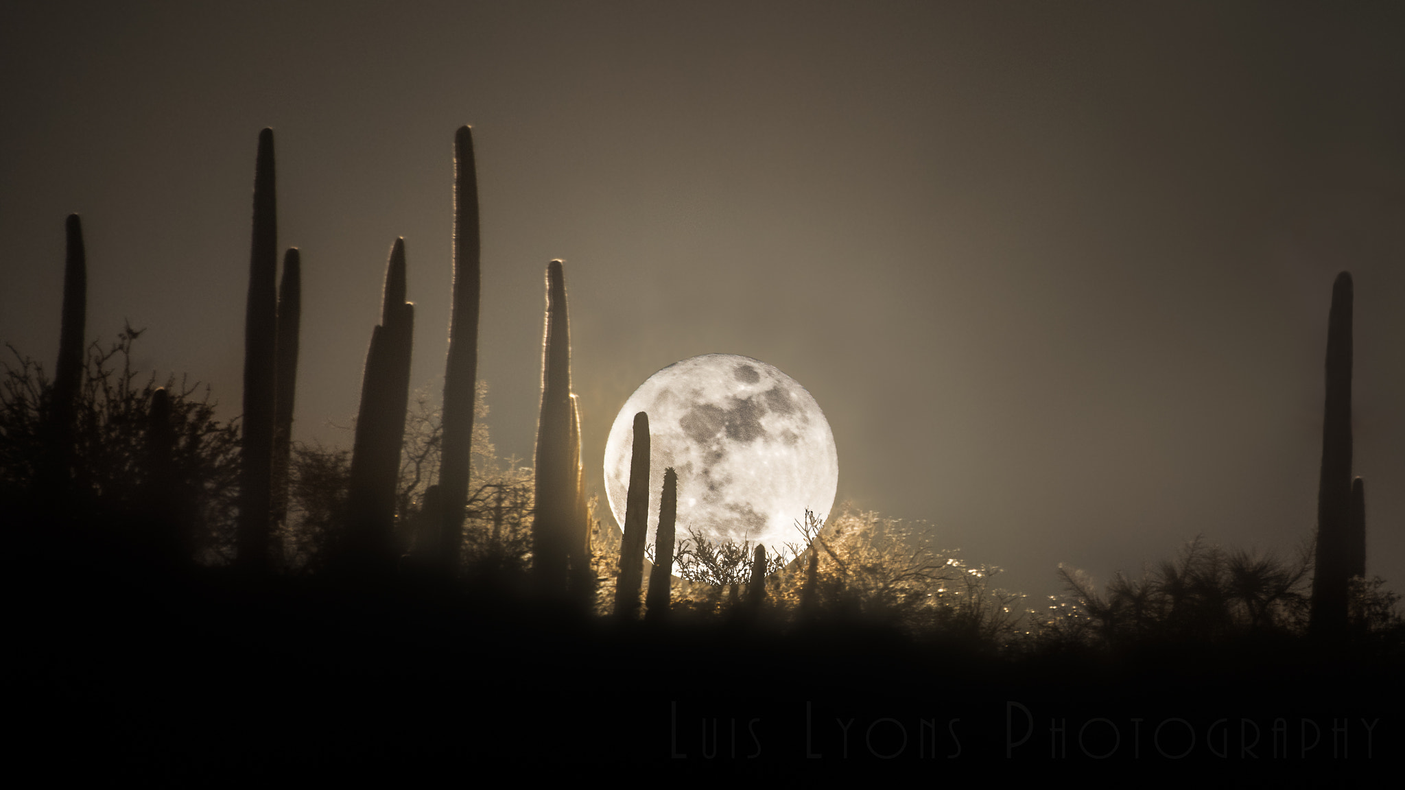 Nikon D5500 sample photo. Super moon rising over a mexican desert photography