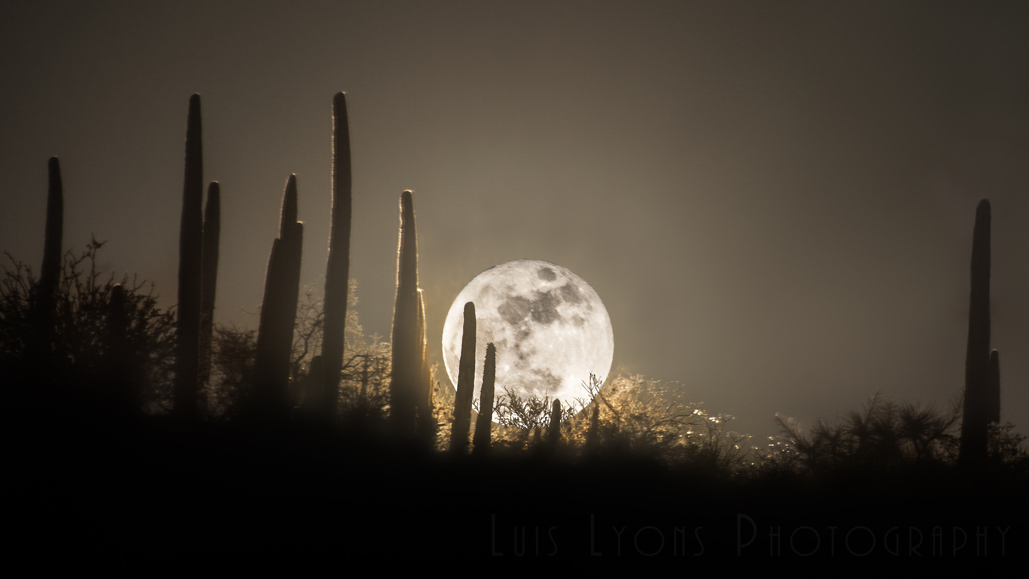Sigma 70-300mm F4-5.6 APO DG Macro sample photo. Super moon rising over a mexican desert photography