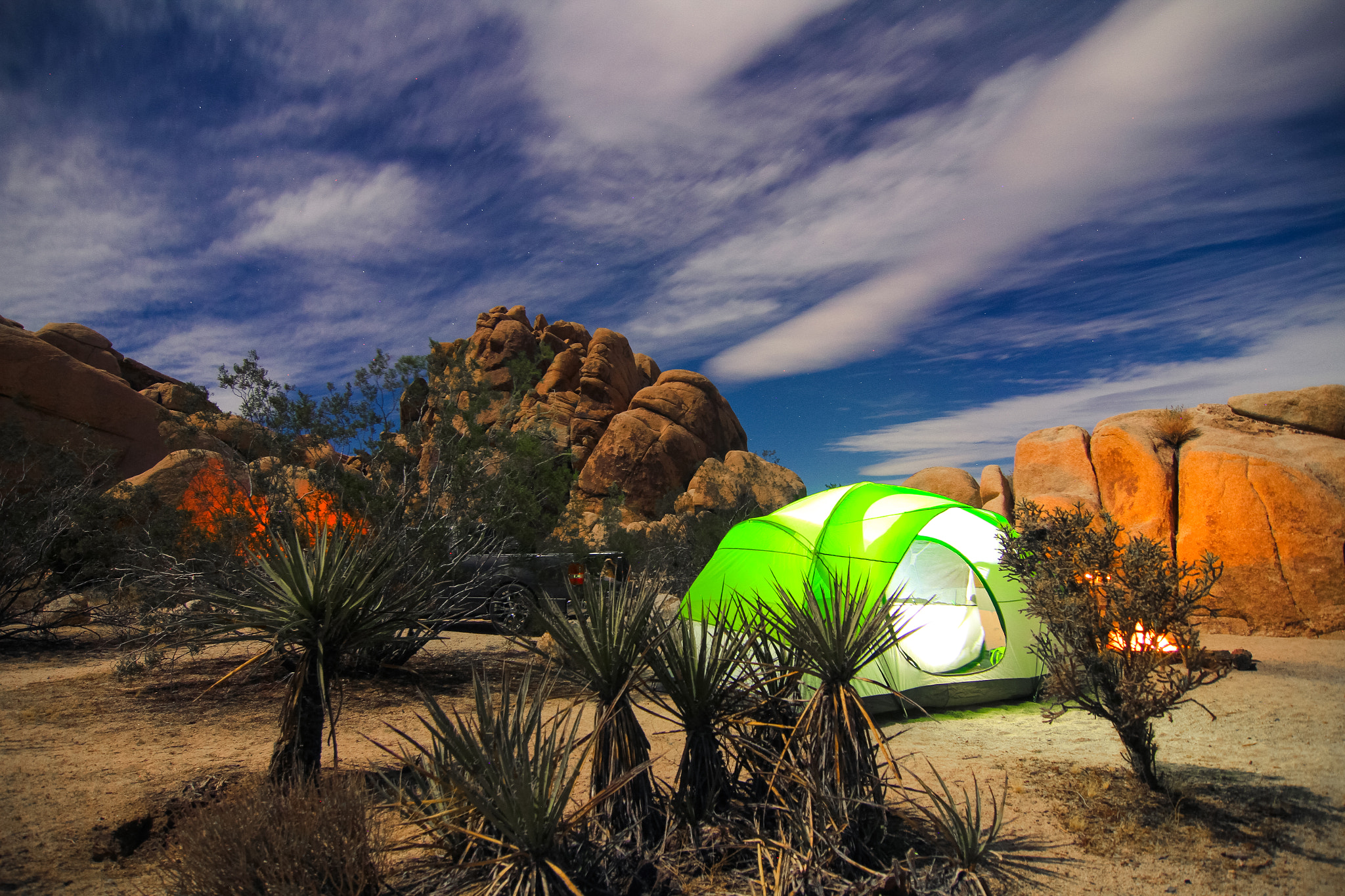 Tokina AT-X Pro 12-24mm F4 (IF) DX sample photo. Joshua tree @ 3am photography