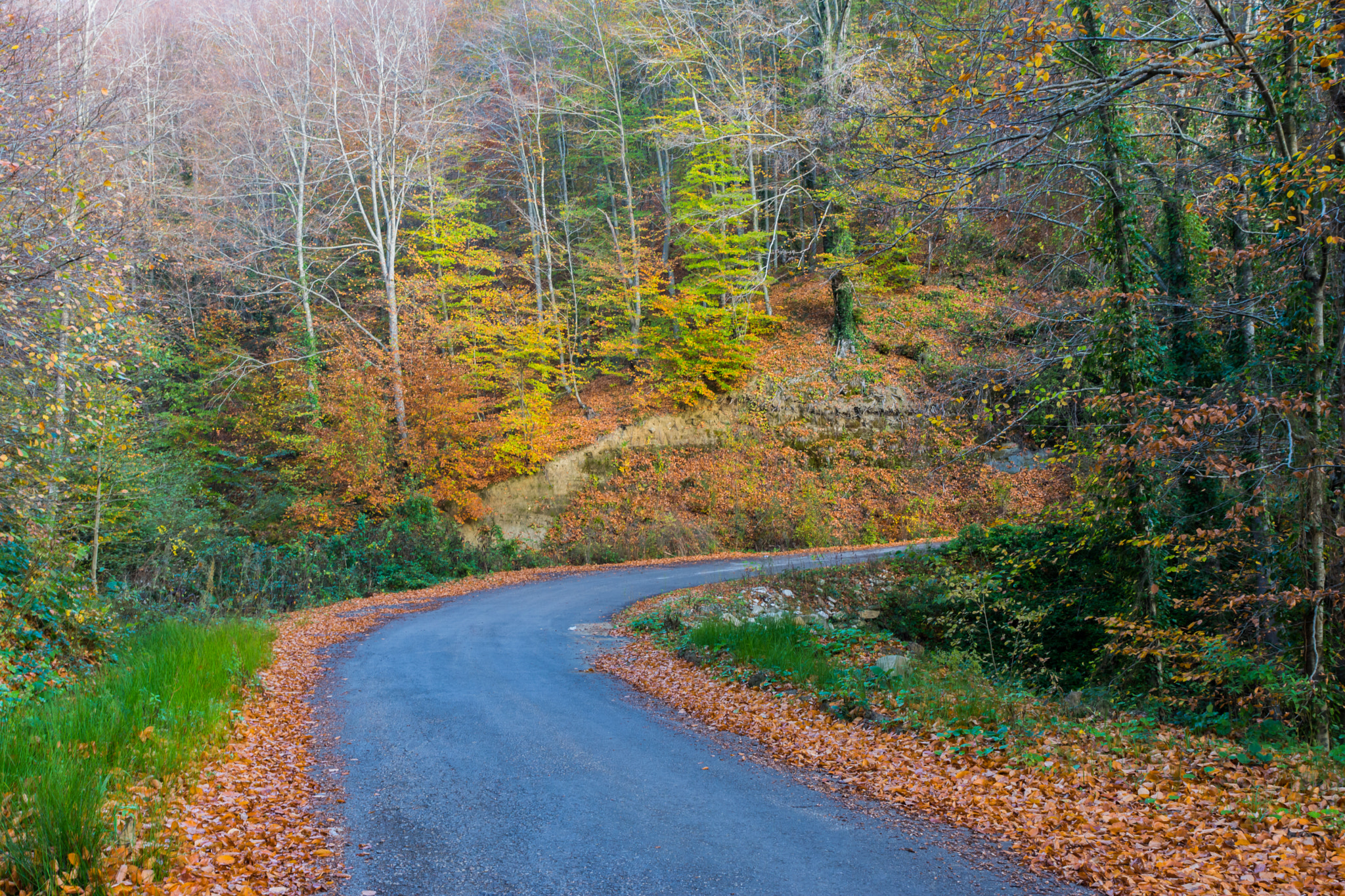 Tamron SP 24-70mm F2.8 Di VC USD sample photo. Sinop autumn photography