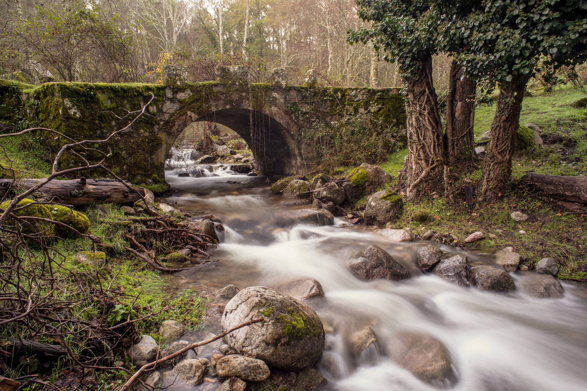 Minolta AF 24mm F2.8 sample photo. The bridge photography