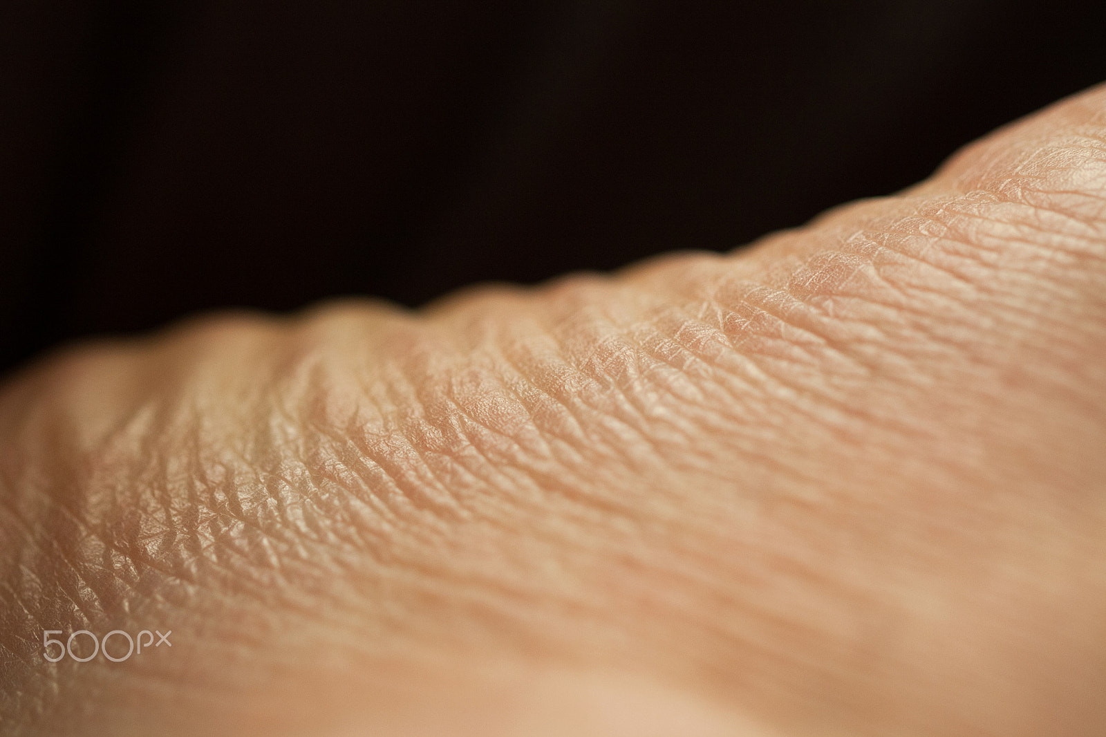 Canon EF 100mm F2.8L Macro IS USM sample photo. Skin 4 photography