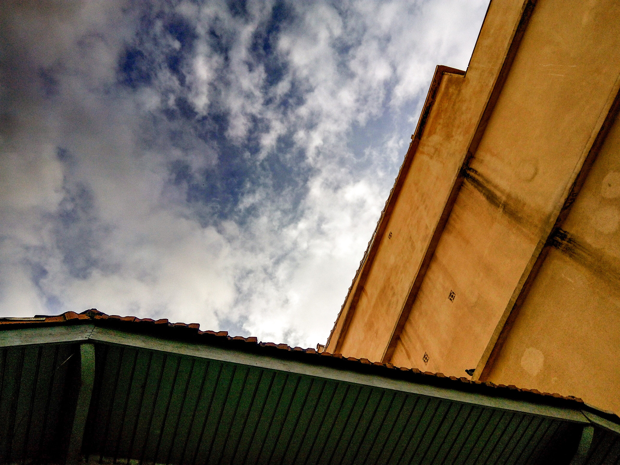 HUAWEI Y6 PRO sample photo. Observing. photography