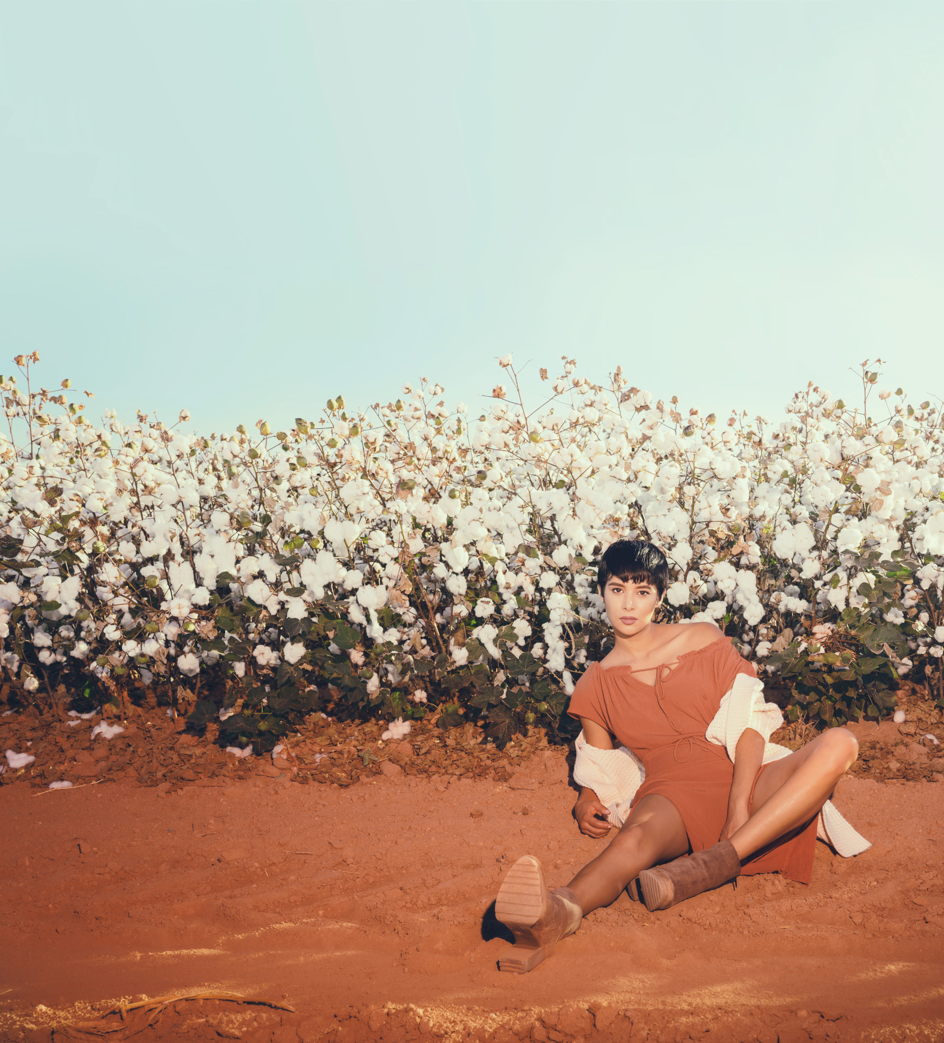 Sony FE 24-70mm F2.8 GM sample photo. Beauty in a cotton field photography