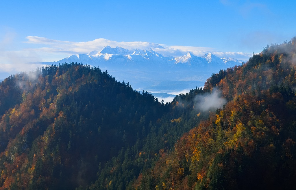 Nikon D300S sample photo. Tatry i pieniny photography
