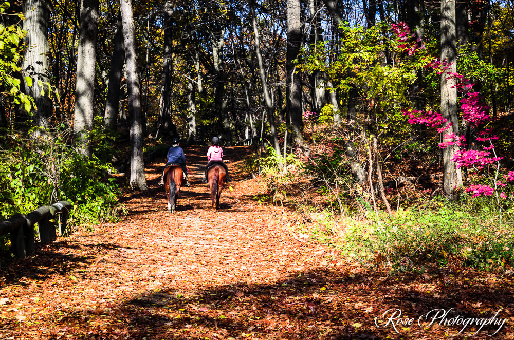 Nikon D5100 + Nikon AF-S DX Nikkor 55-200mm F4-5.6G VR II sample photo. "yee-haw" photography