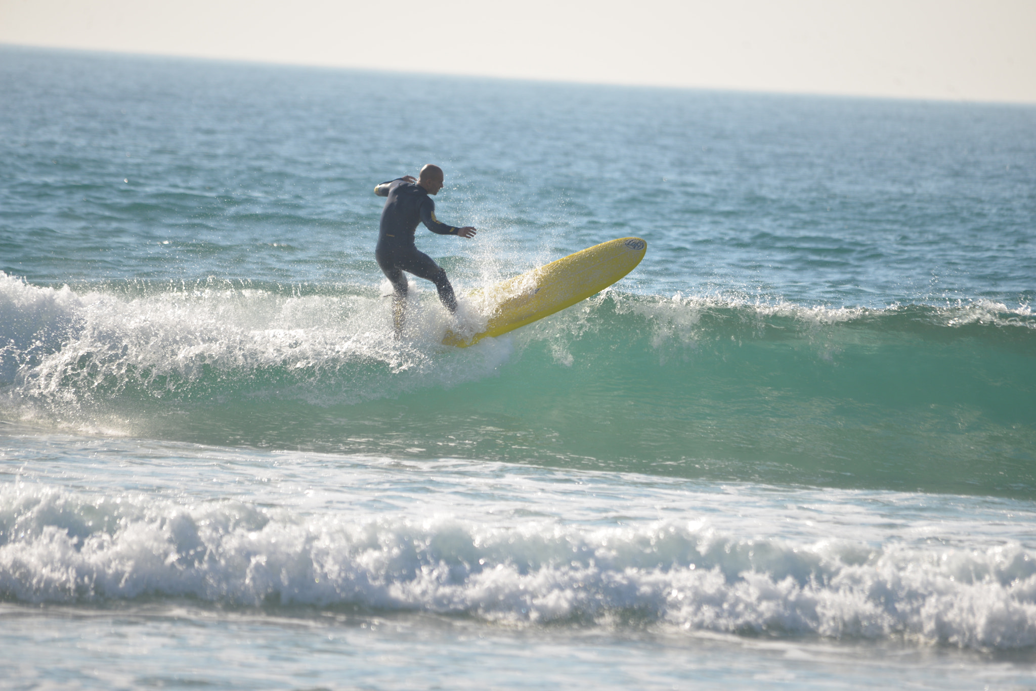 Sigma 150-500mm F5-6.3 DG OS HSM sample photo. I need paning feedback photography