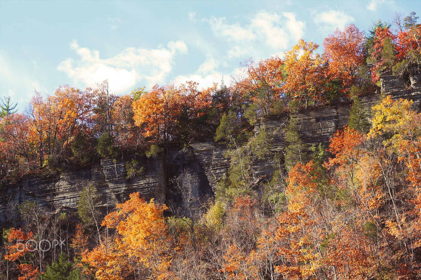 Canon EF 50mm f/1.8 sample photo. Cliffside photography