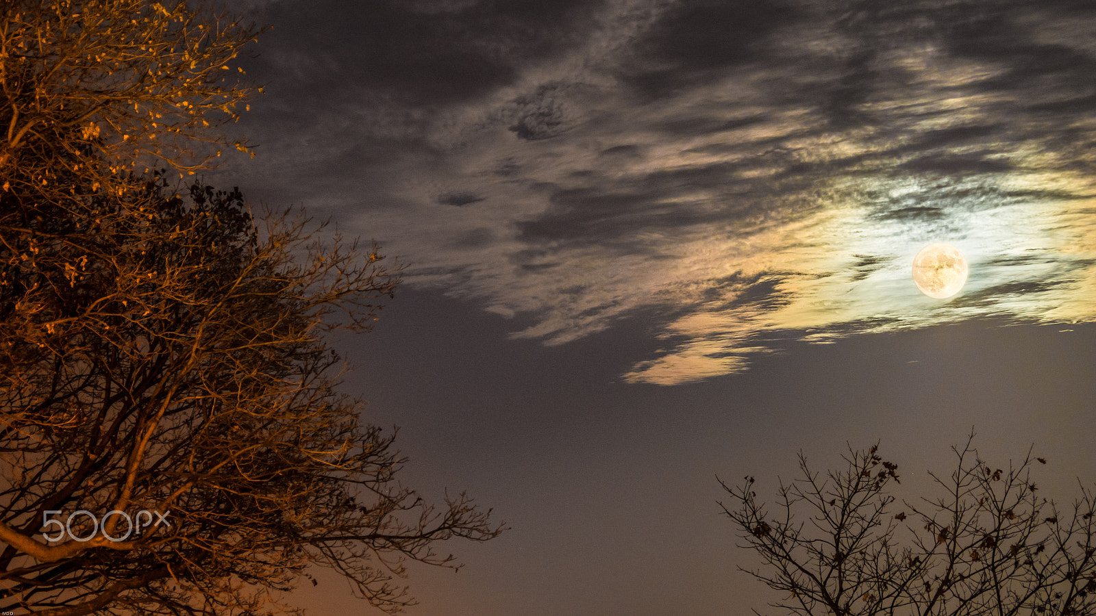 Pentax K-S2 sample photo. Super moon montreal 4 photography