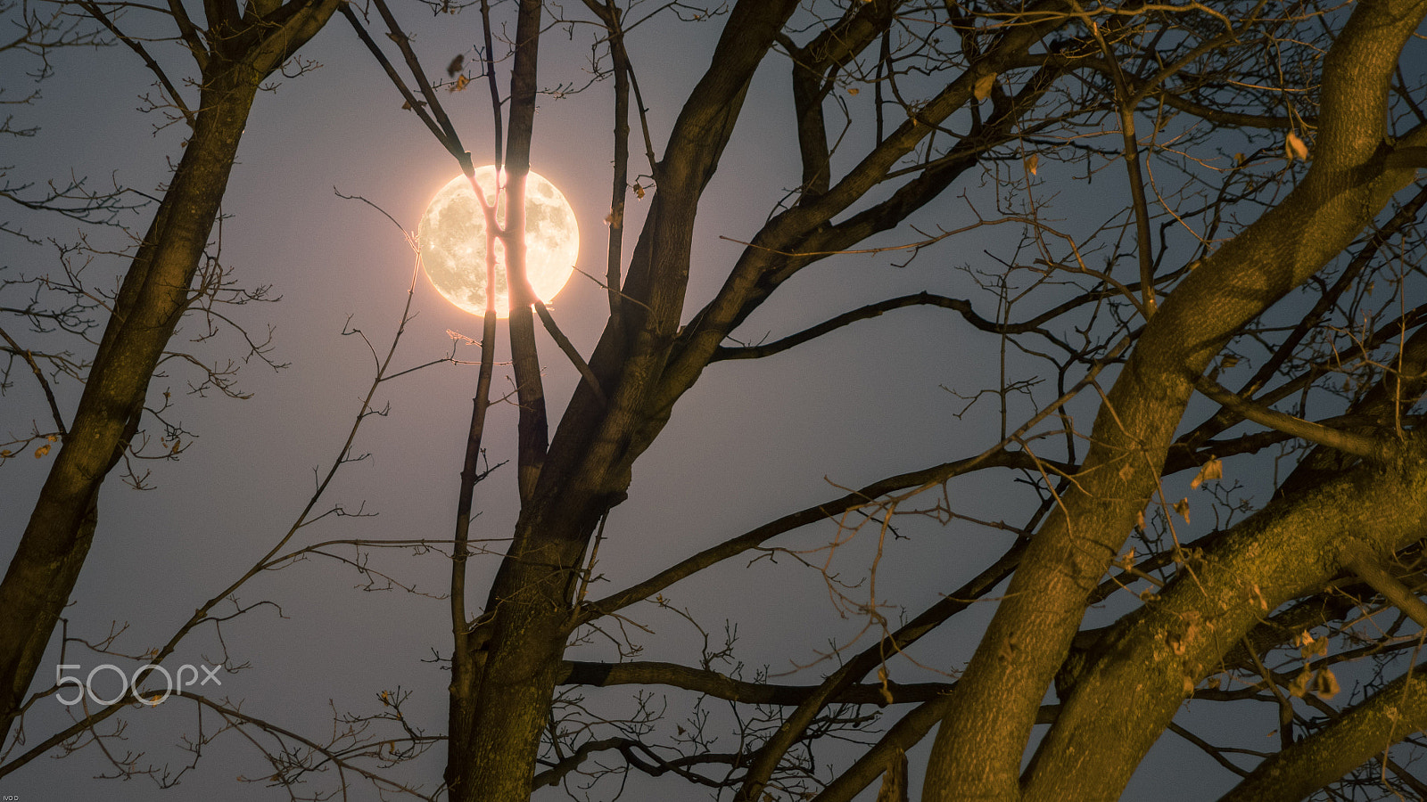 smc PENTAX-DA L 55-300mm F4-5.8 ED sample photo. Super moon montreal 5 photography