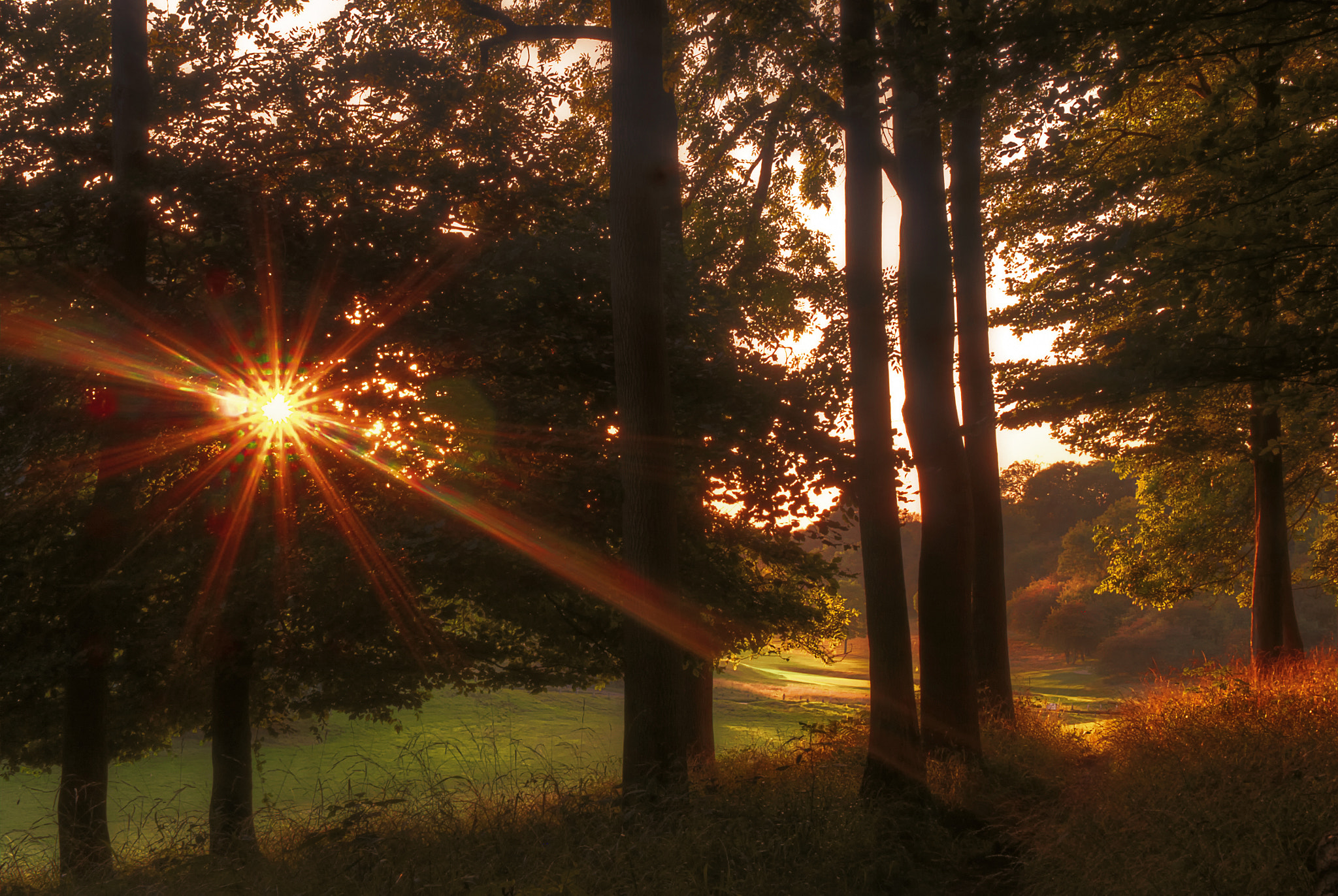 Panasonic Lumix DMC-GF6 + Sigma 30mm F2.8 DN Art sample photo. Sunburst photography