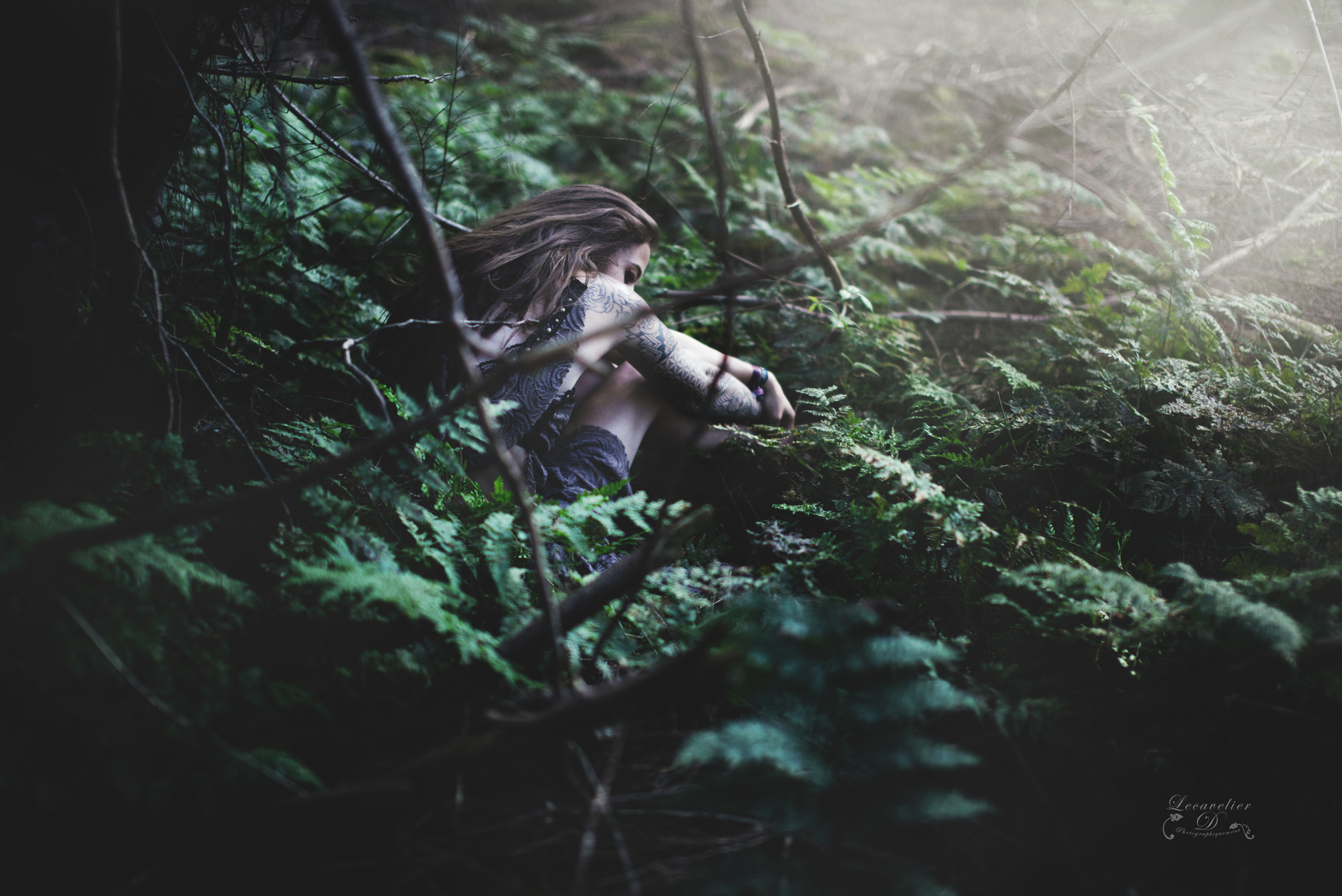 Nikon D800 + Sigma 50mm F1.4 EX DG HSM sample photo. Ƹ̵̡Ӝ̵̨̄Ʒ forest Ƹ̵̡Ӝ̵̨̄Ʒ photography