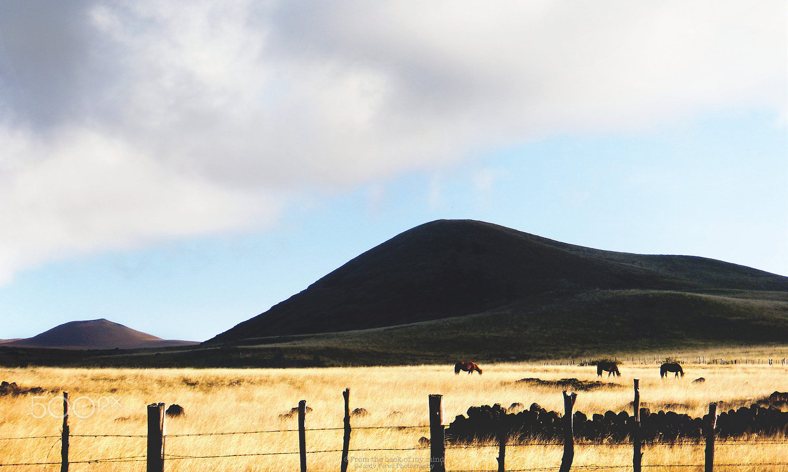 Fujifilm FinePix XP200/XP210 sample photo. "wild horses on easter island (rapa nui)" photography