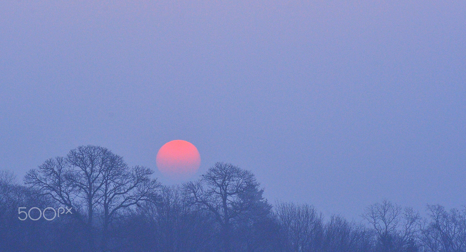 Sigma 120-300mm F2.8 EX DG HSM sample photo. Rising sun photography