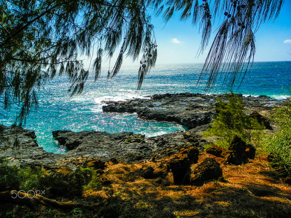 Kodak EasyShare Z981 sample photo. Turtle cove in the morning photography