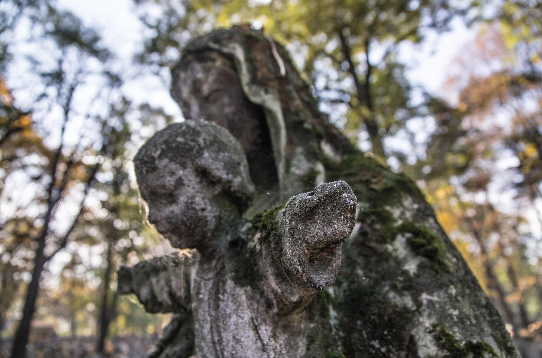 Sigma AF 10-20mm F4-5.6 EX DC sample photo. Untitled photography